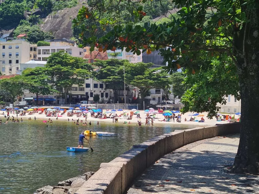 Apartamento, 1 quarto, 55 m² - Foto 3