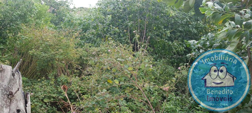 Terreno, 2500 m² - Foto 3