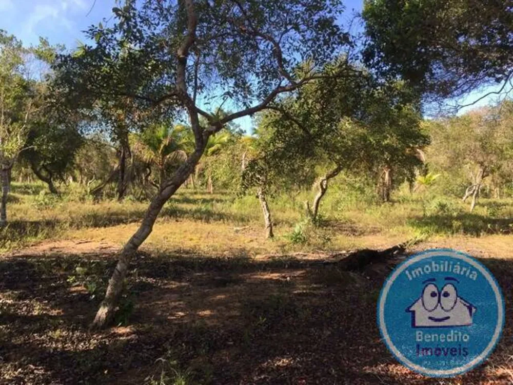 Terreno, 2 hectares - Foto 8