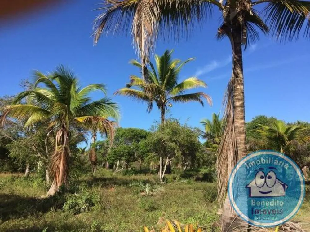 Terreno, 2 hectares - Foto 2