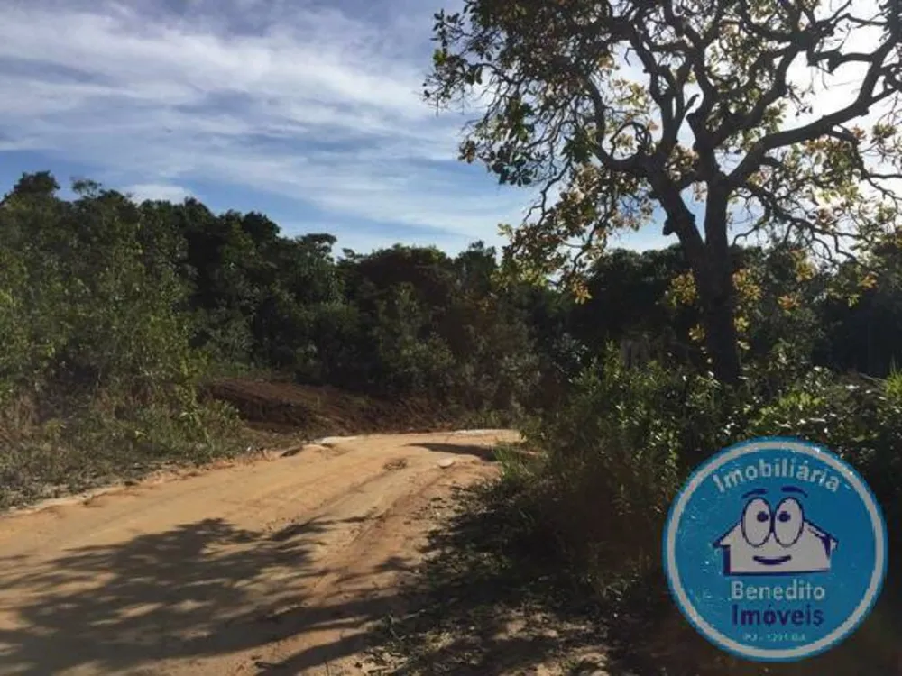 Terreno, 2 hectares - Foto 7