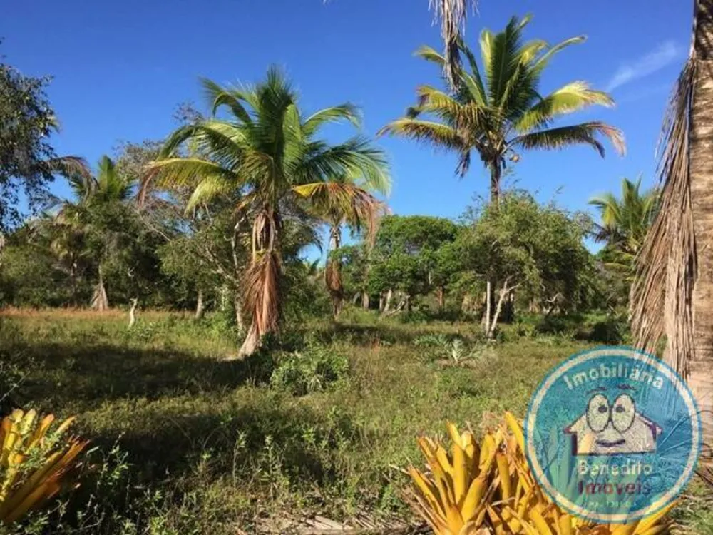 Terreno, 2 hectares - Foto 4
