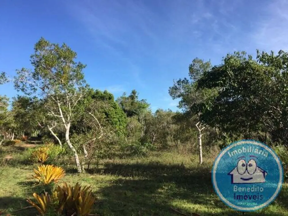 Terreno, 2 hectares - Foto 6
