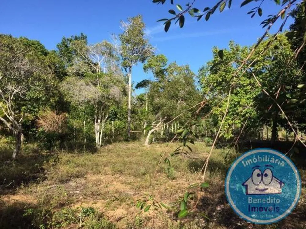 Terreno, 2 hectares - Foto 1