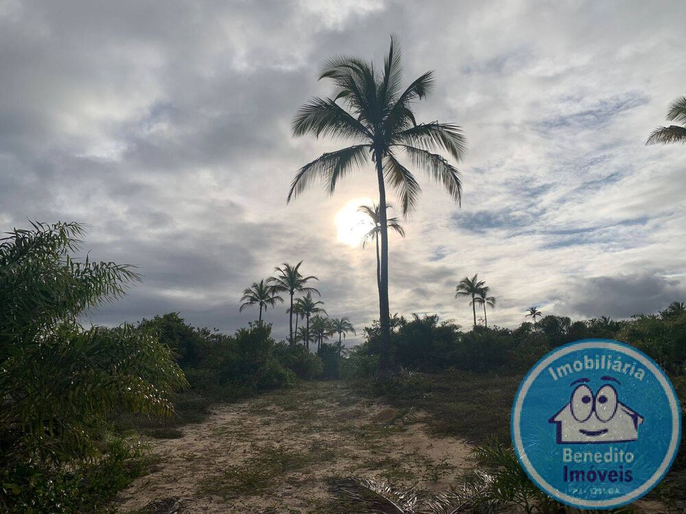 Terreno, 7 hectares - Foto 4