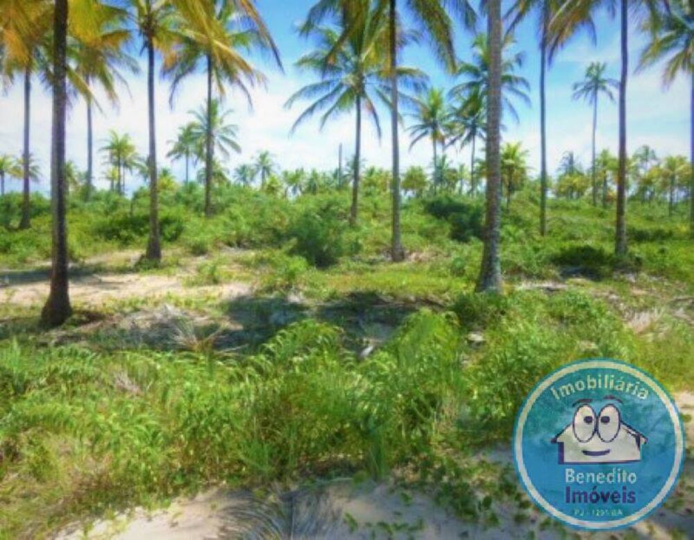 Terreno, 7 hectares - Foto 2