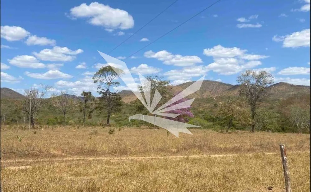 Terreno, 5 hectares - Foto 3