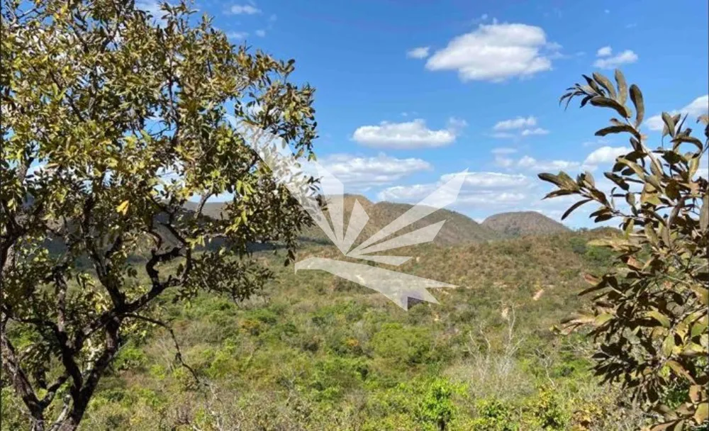 Terreno, 5 hectares - Foto 4