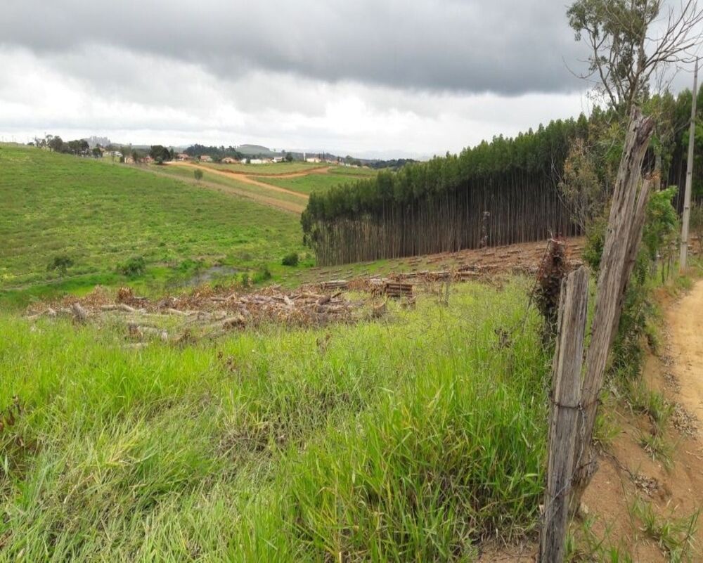 Terreno, 9 hectares - Foto 2