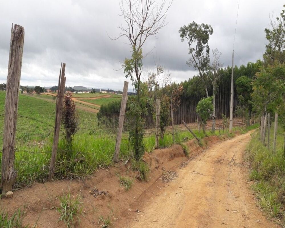 Terreno, 9 hectares - Foto 6