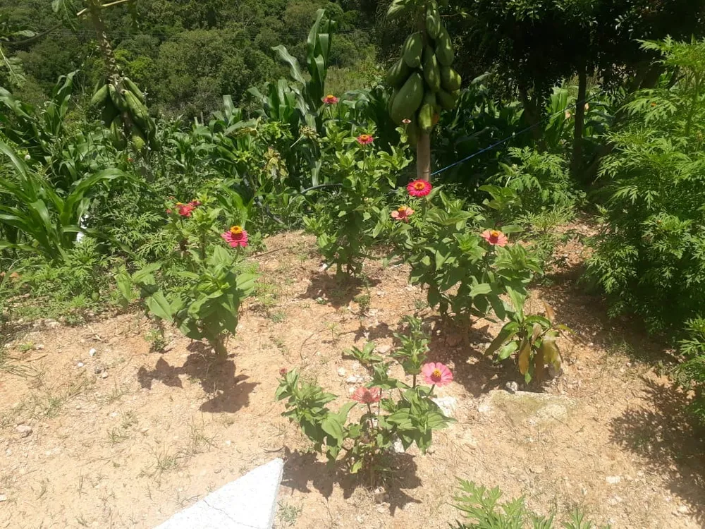 Chácara, 1 quarto - Foto 17