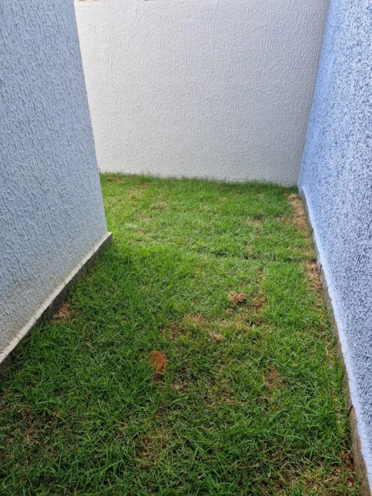 Apartamento - Foto 7