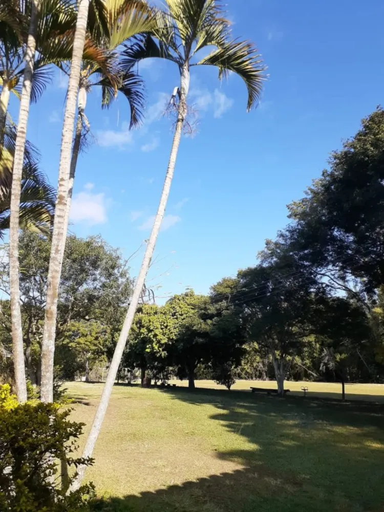 Chácara, 4 quartos, 2 hectares - Foto 10
