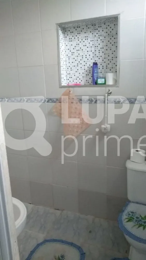 Chácara, 3 quartos, 4000 m² - Foto 2