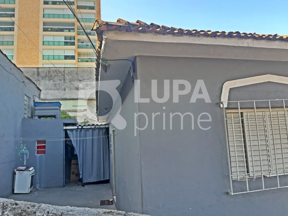 Casa, 6 quartos, 280 m² - Foto 6