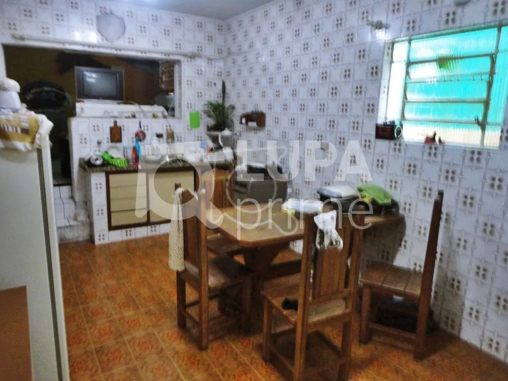 Casa, 3 quartos, 244 m² - Foto 10