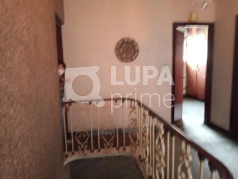Casa, 4 quartos, 330 m² - Foto 6
