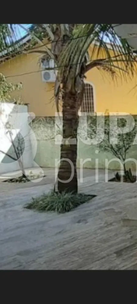 Casa, 3 quartos, 280 m² - Foto 12