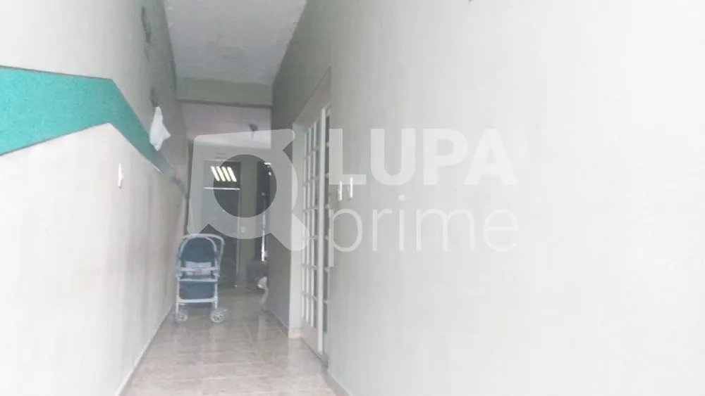 Casa, 5 quartos, 280 m² - Foto 13