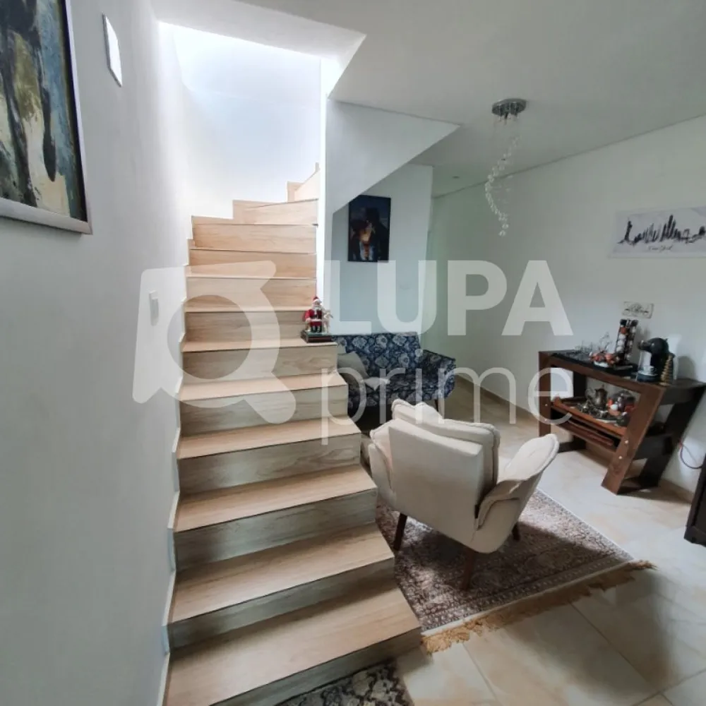 Casa, 3 quartos, 450 m² - Foto 9