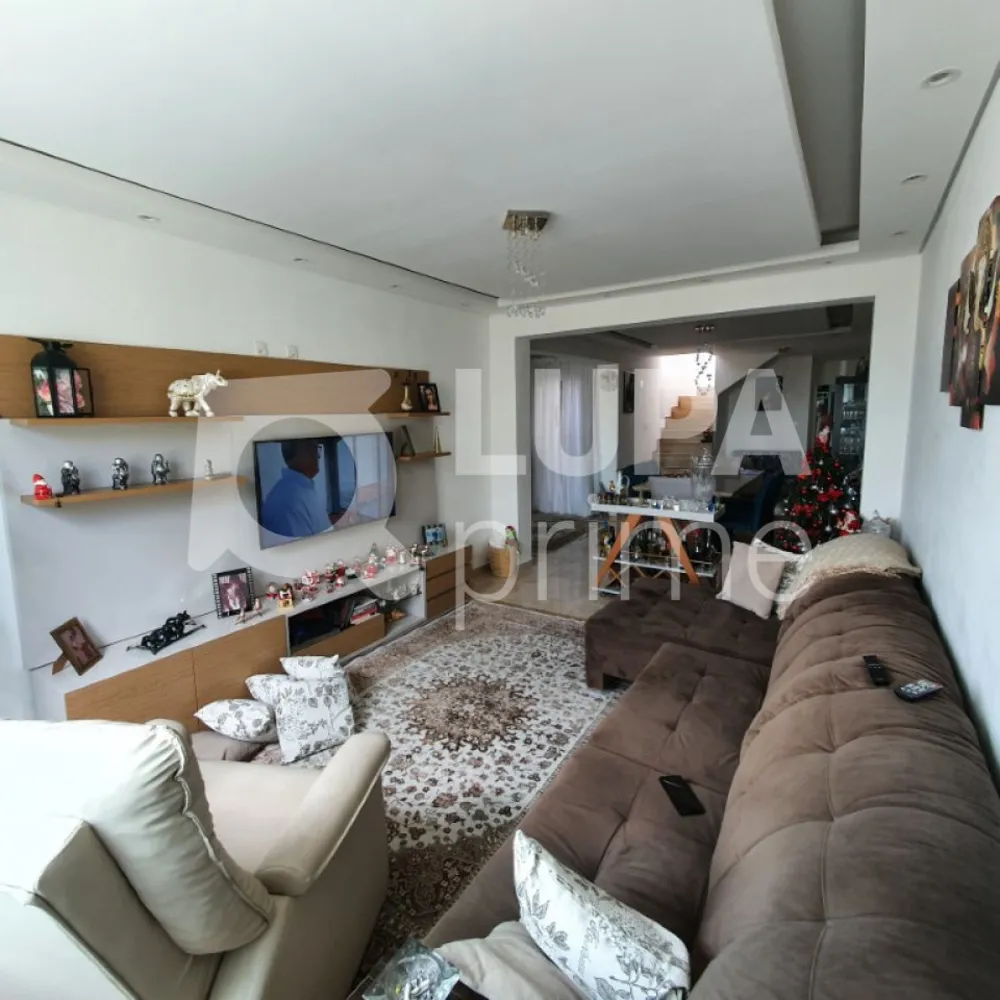 Casa, 3 quartos, 450 m² - Foto 13