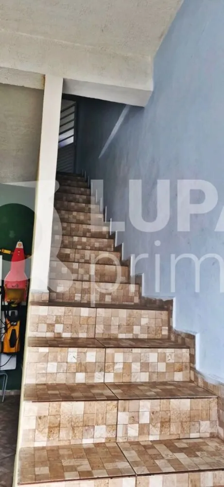 Casa, 3 quartos, 276 m² - Foto 8