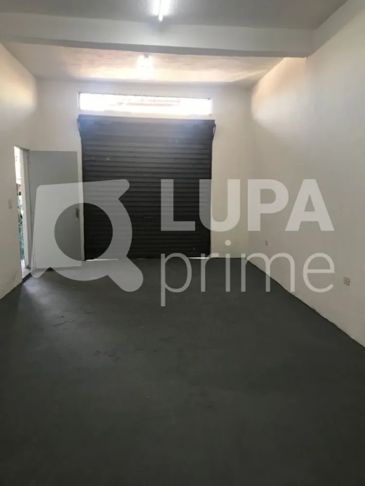 Casa, 6 quartos, 300 m² - Foto 11