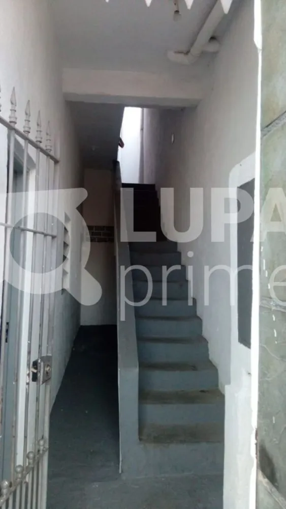 Casa, 6 quartos, 300 m² - Foto 13