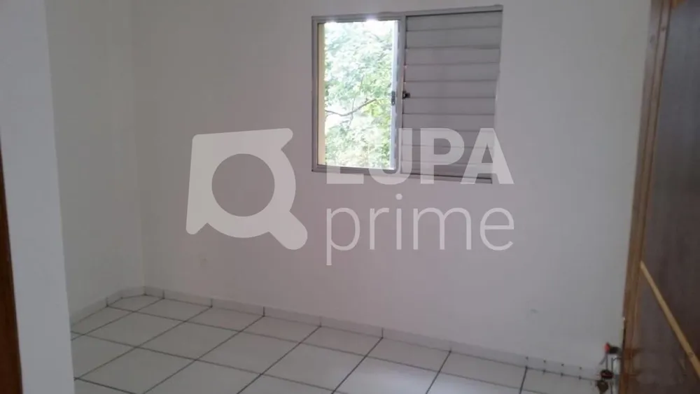 Apartamento, 8 quartos, 380 m² - Foto 10