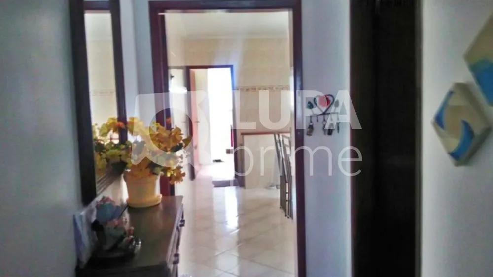 Casa, 3 quartos, 225 m² - Foto 5