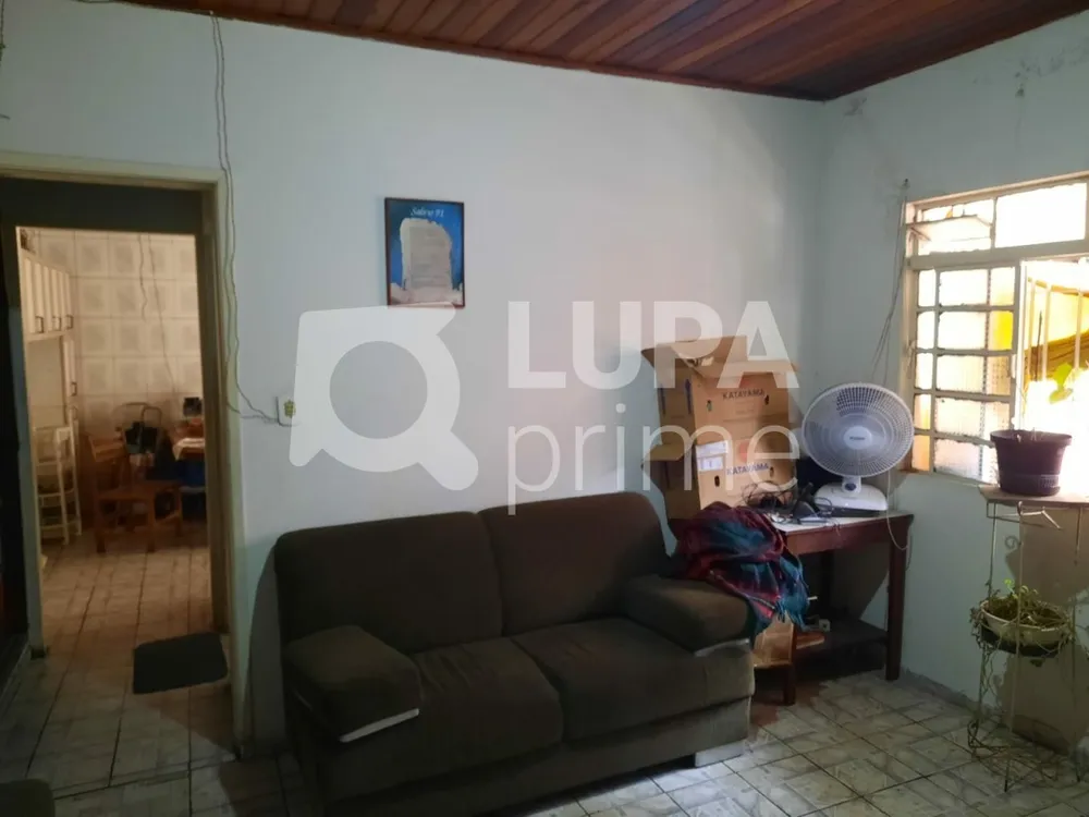 Casa, 6 quartos, 250 m² - Foto 10