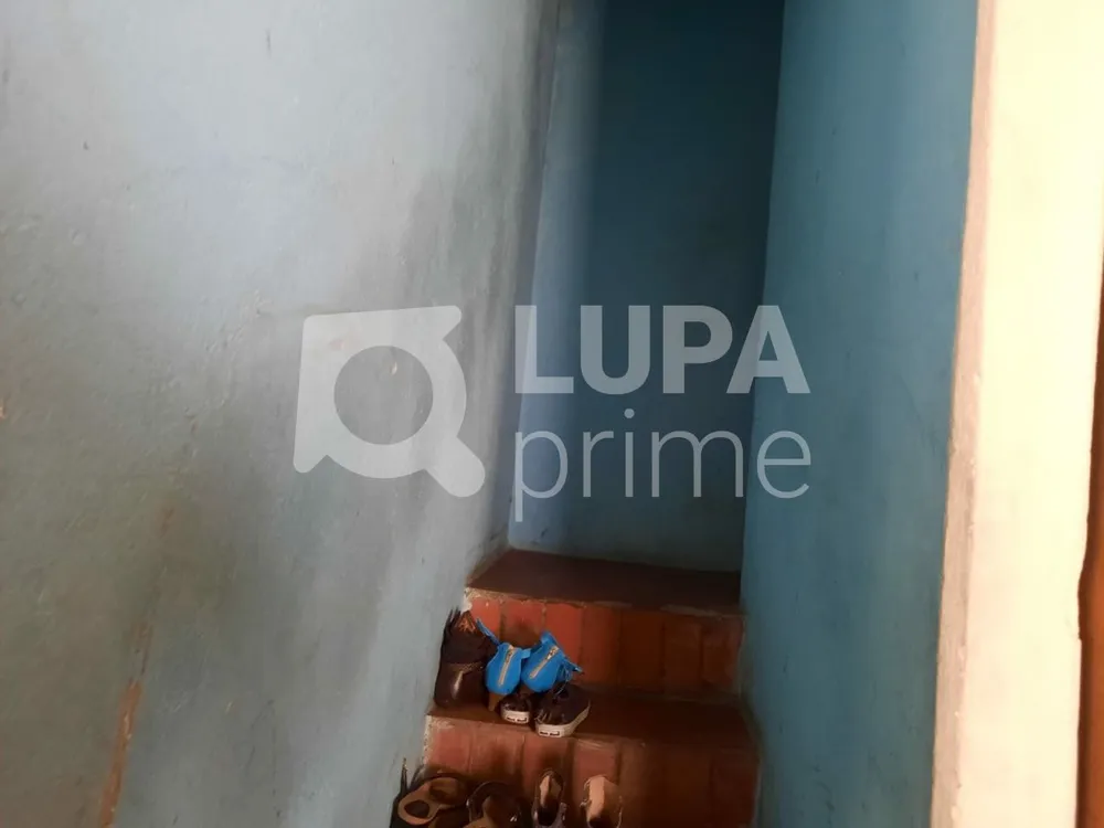 Casa, 6 quartos, 250 m² - Foto 12