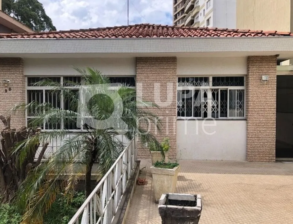 Sala-Conjunto, 240 m² - Foto 4