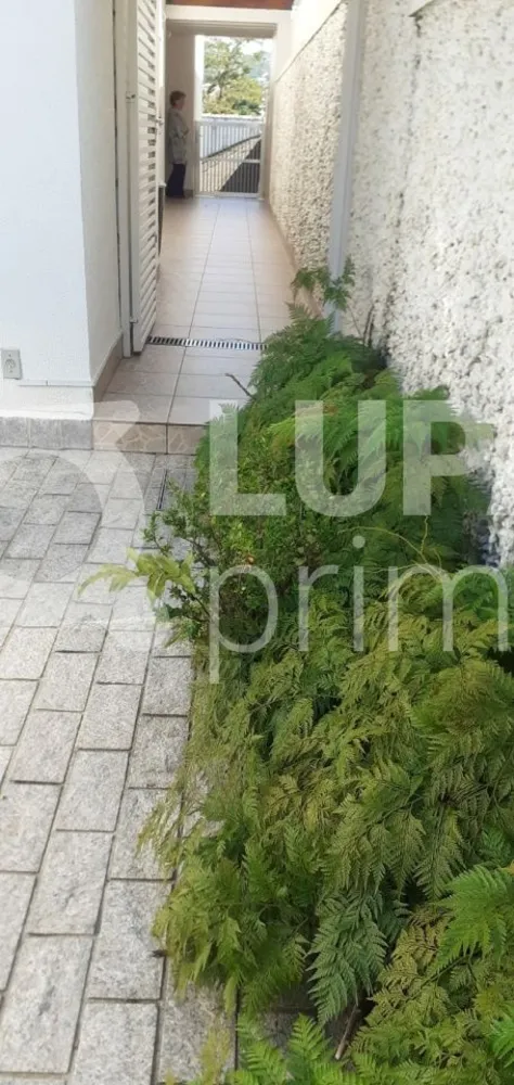 Casa, 5 quartos, 220 m² - Foto 10