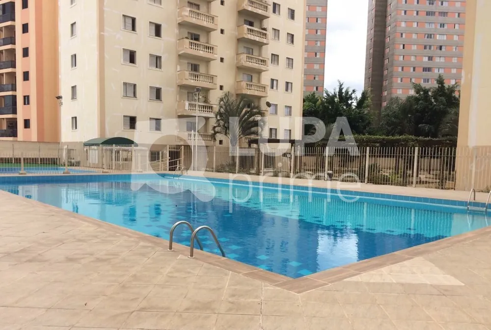 Apartamento, 4 quartos, 105 m² - Foto 11