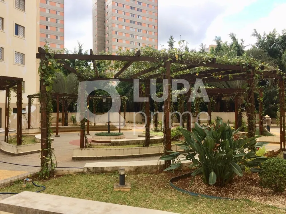 Apartamento, 4 quartos, 105 m² - Foto 12