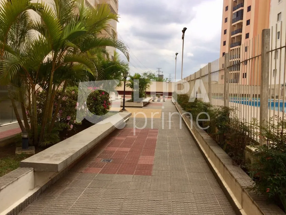 Apartamento, 4 quartos, 105 m² - Foto 5