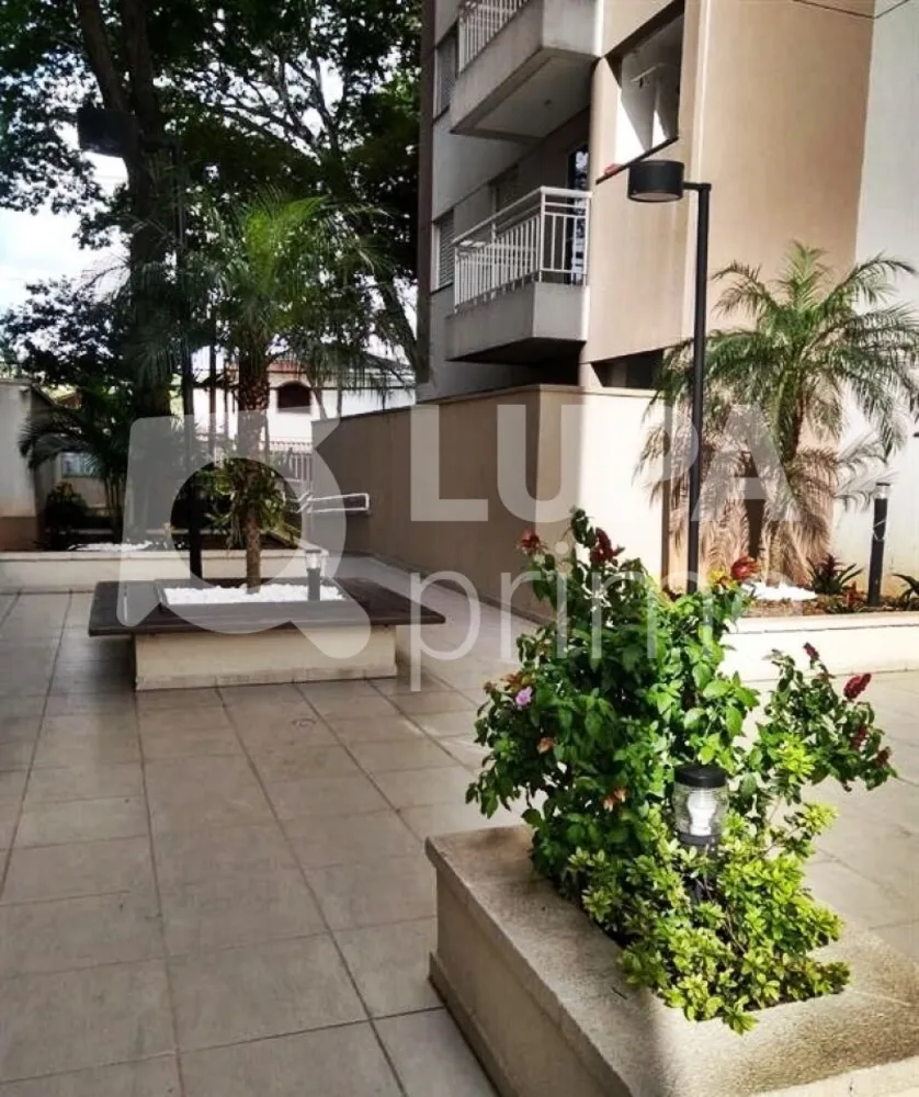 Apartamento, 3 quartos, 55 m² - Foto 15
