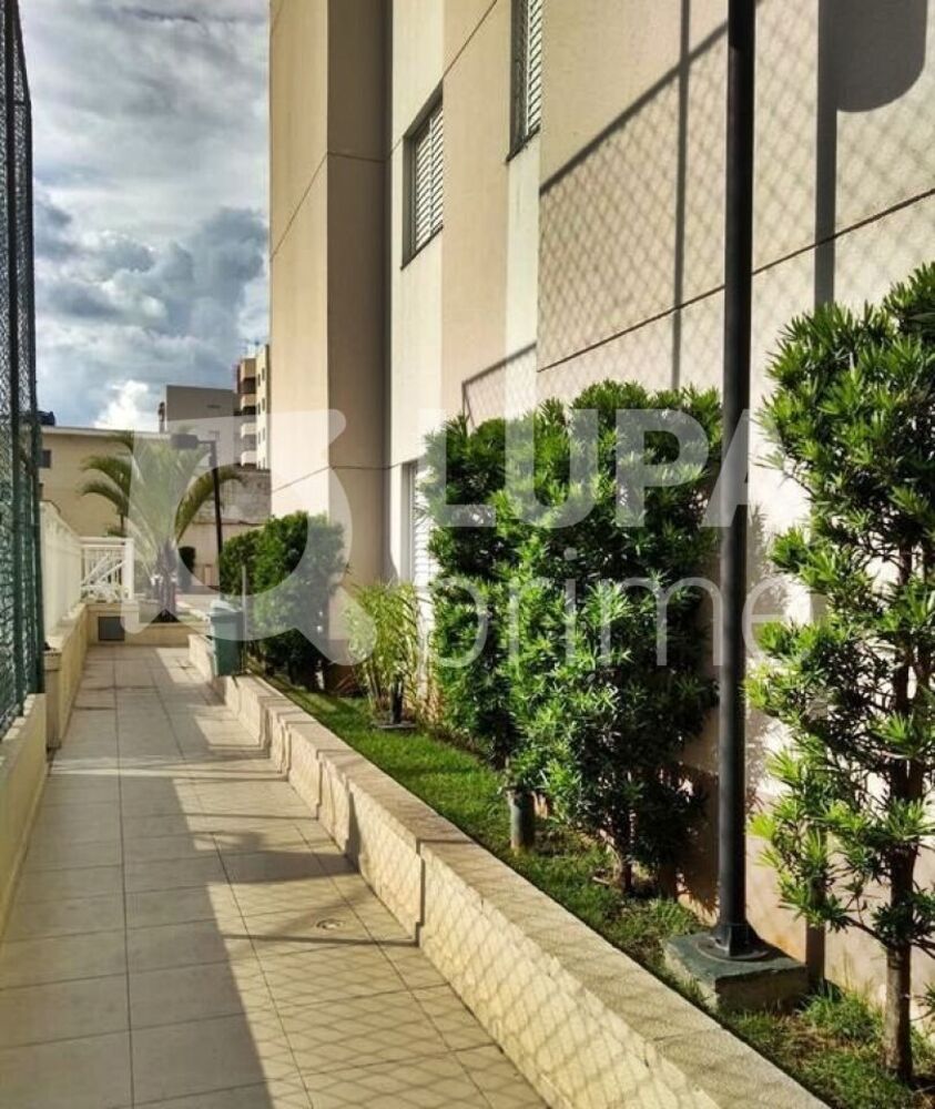 Apartamento, 3 quartos, 55 m² - Foto 1