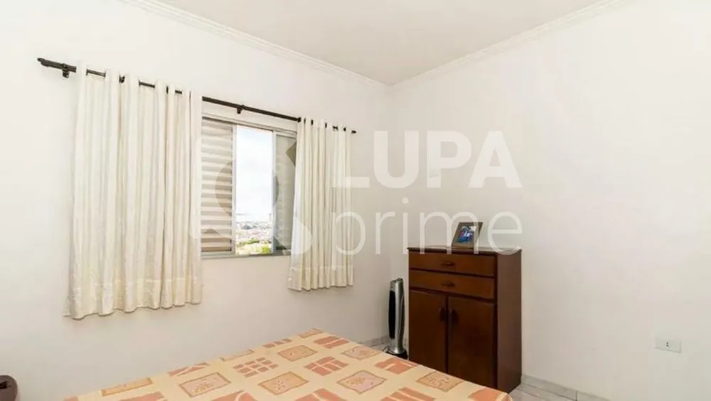 Casa, 3 quartos, 380 m² - Foto 9
