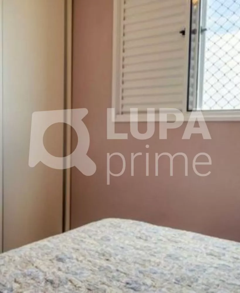 Apartamento à venda com 3 quartos, 62m² - Foto 7