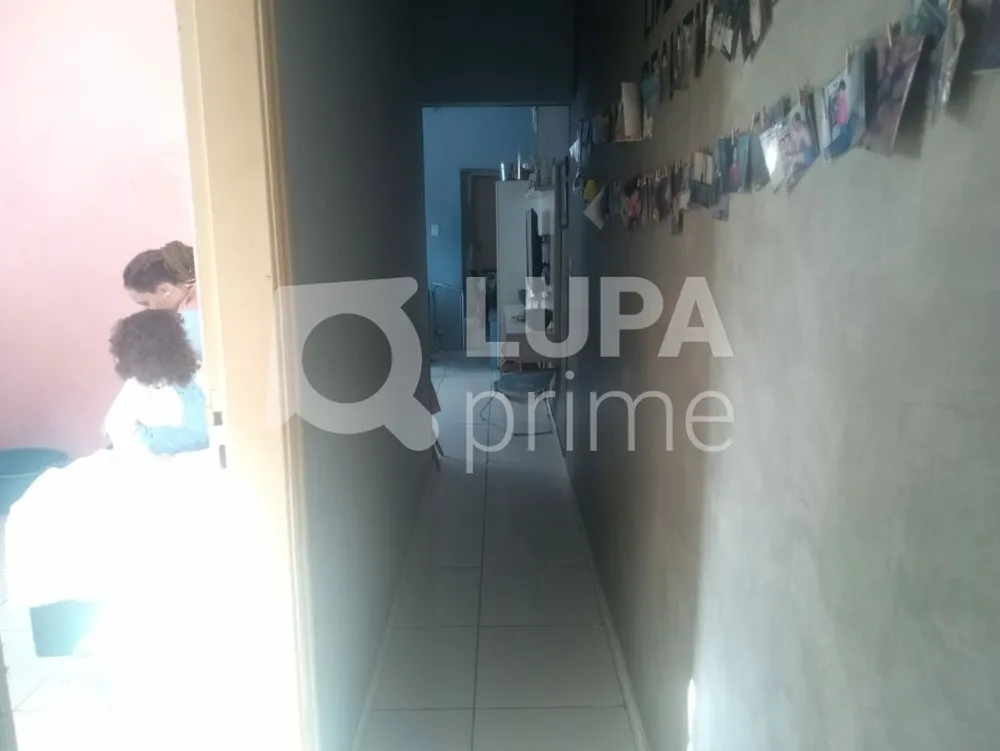 Casa, 6 quartos, 300 m² - Foto 8