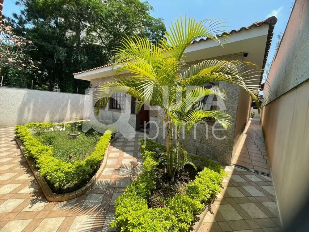 Casa, 3 quartos, 300 m² - Foto 6