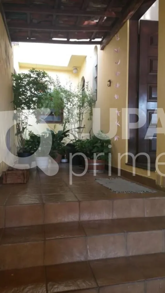Casa, 4 quartos, 252 m² - Foto 8