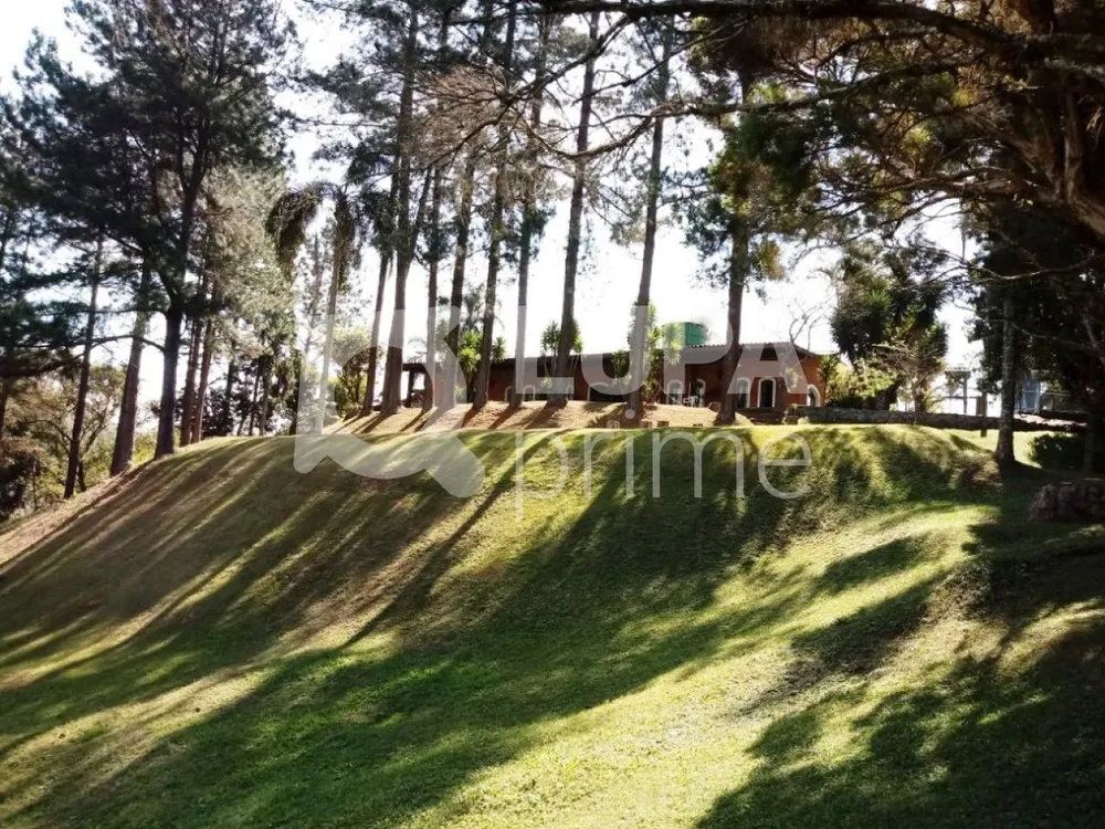 Casa, 8 quartos, 500 m² - Foto 1