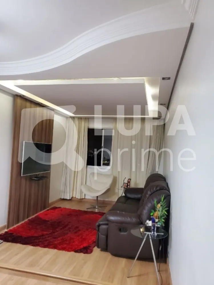 Casa, 3 quartos, 200 m² - Foto 8