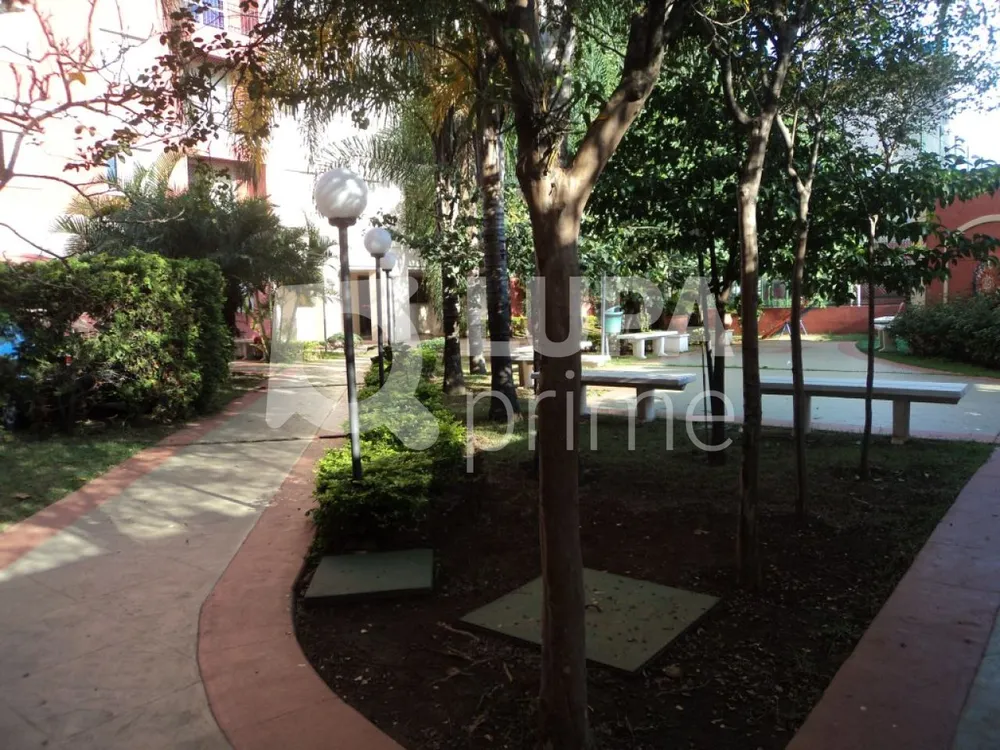 Apartamento, 3 quartos, 60 m² - Foto 10