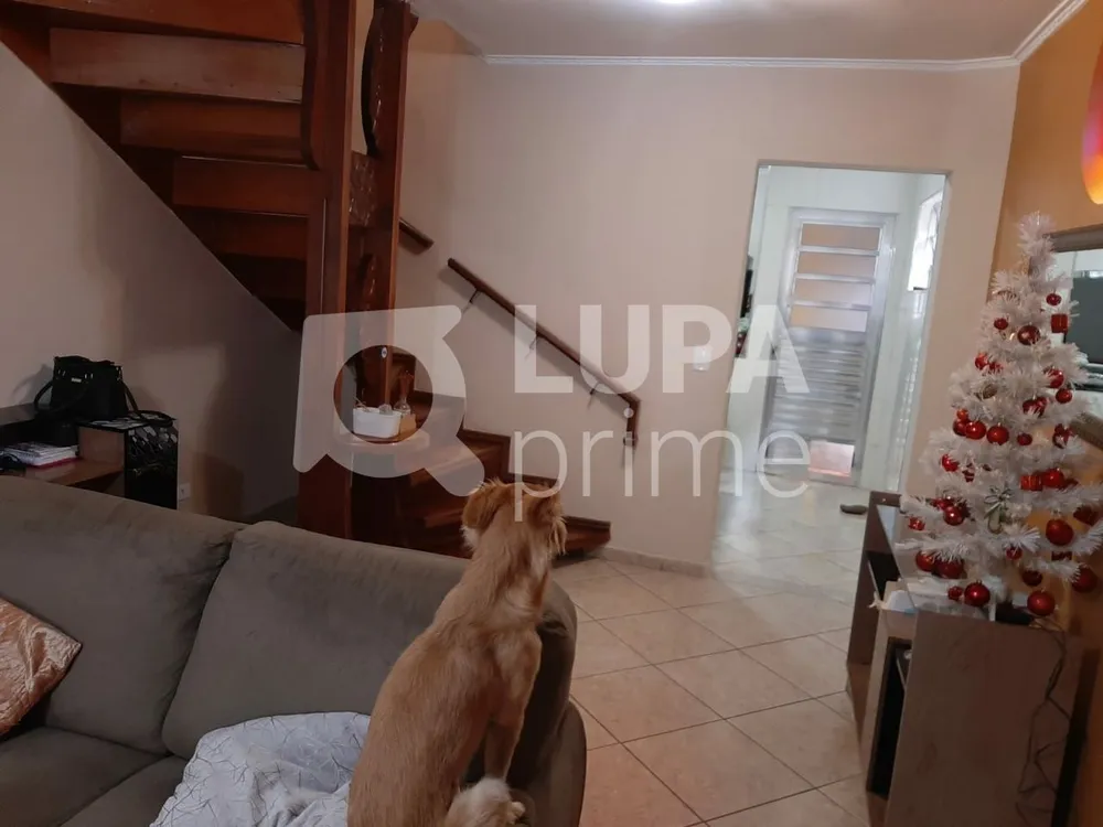 Casa, 4 quartos, 151 m² - Foto 1