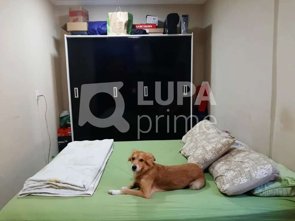 Casa, 4 quartos, 151 m² - Foto 10