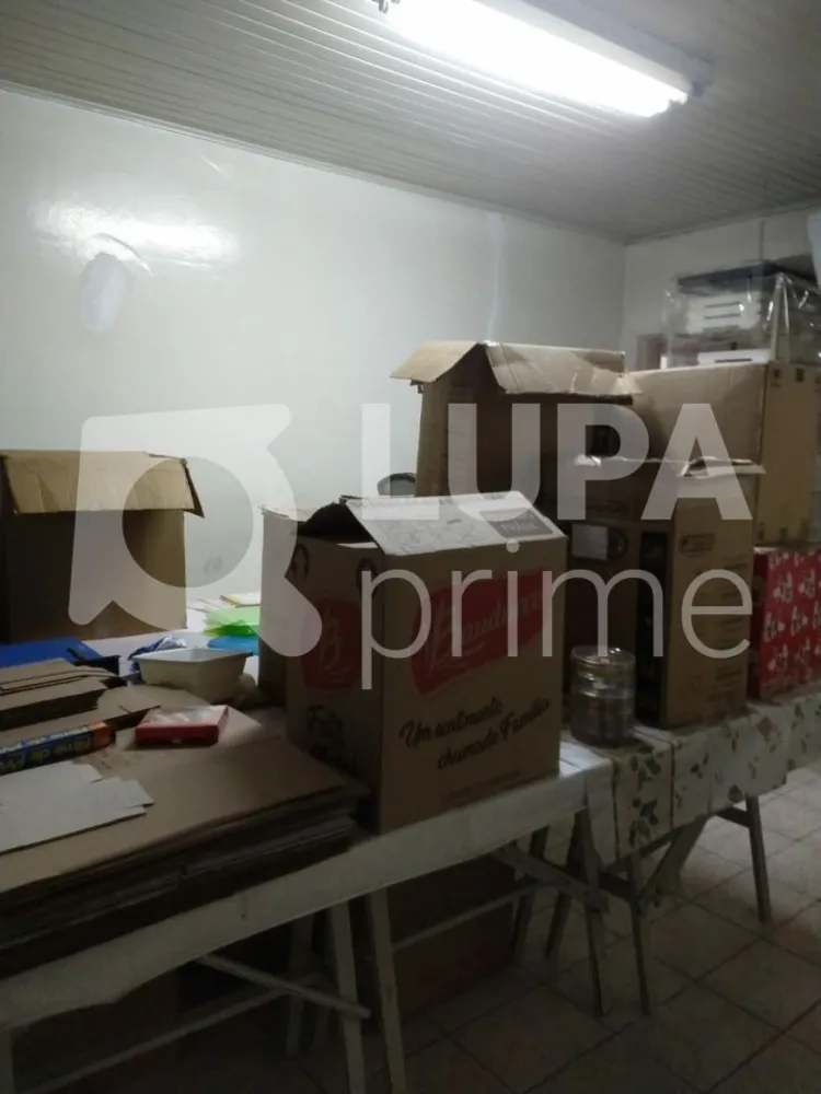 Casa, 4 quartos, 120 m² - Foto 10